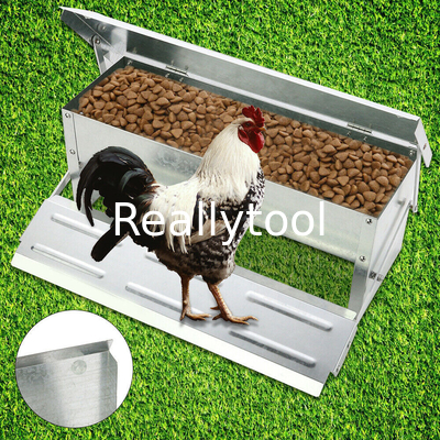Smooth Edges Large Capacity 10kg Automatic Hen Feeder