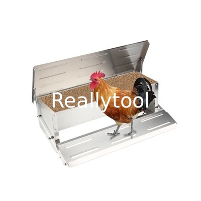 CE Anti Feed Theft 5kgs Automatic Timer Chicken Feeder