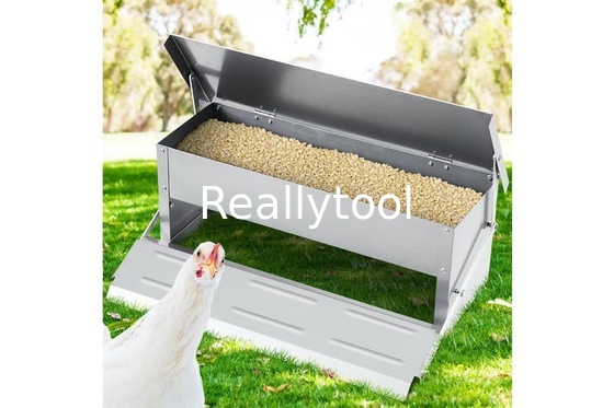 CE Anti Feed Theft 5kgs Automatic Timer Chicken Feeder