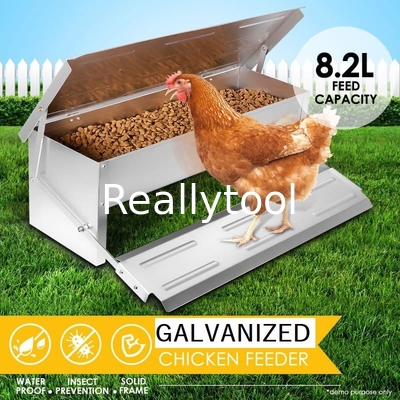 CE Anti Feed Theft 5kgs Automatic Timer Chicken Feeder