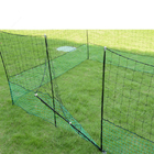 50 M Chicken Net Fence Kit With Gate Double Pointed Posts in Green with Fibreglass Rod
