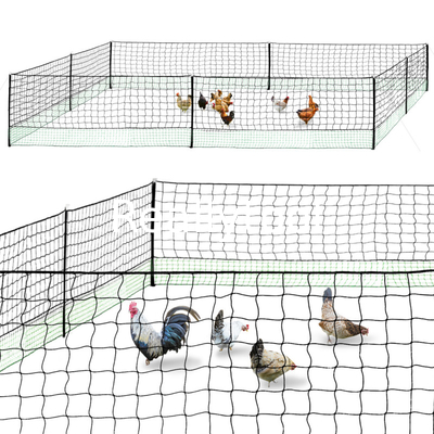 50 M Chicken Net Fence Kit With Gate Double Pointed gibt im Grün mit Glasfiberstab bekannt